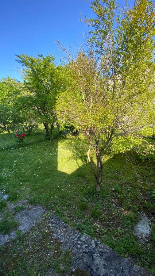 Villa Molinazzo Cicagna Exteriér fotografie